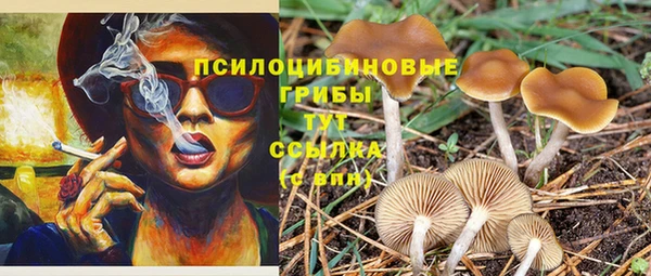 2c-b Алексин