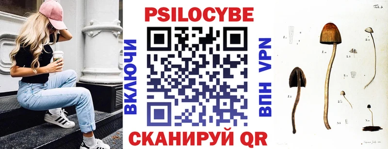 наркота  Оленегорск  MEGA маркетплейс  Псилоцибиновые грибы Psilocybe 